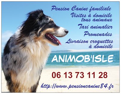 Animob'Isle Pension et Services animaliers à L'Isle sur la Sorgue